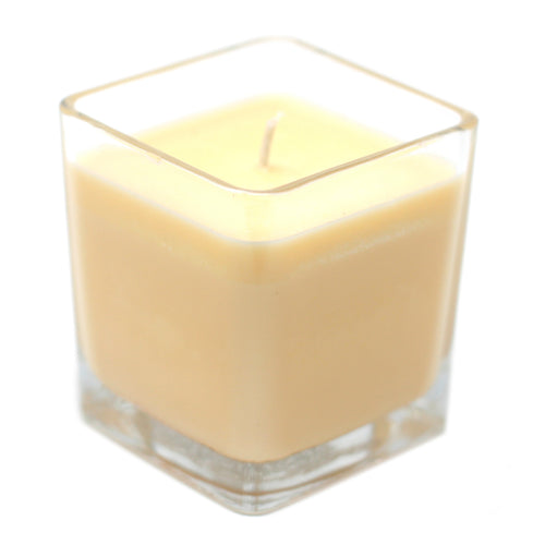 So Delicious Fragrance - Soy Wax Candle 390g